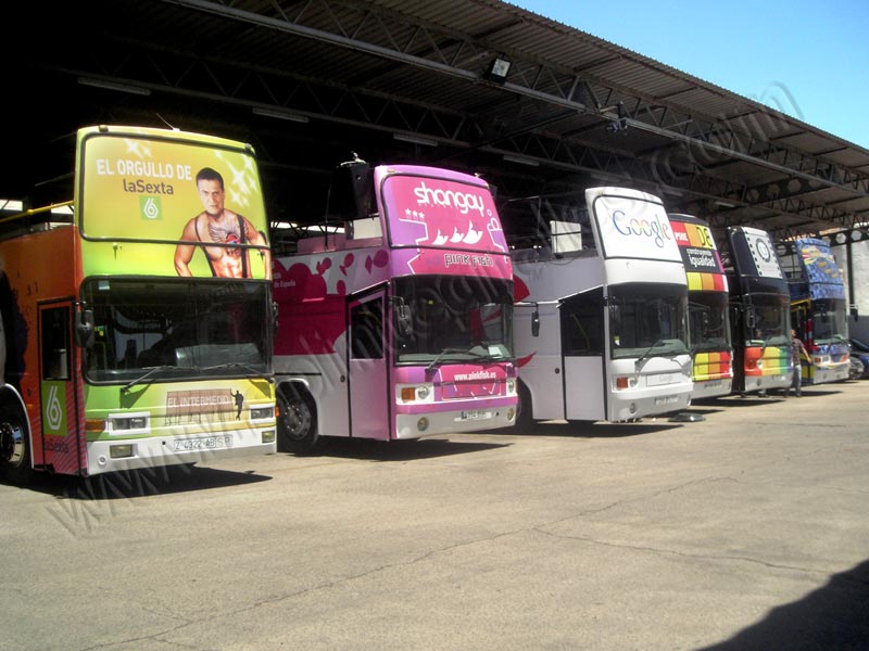 autobuses para el desfile del orgullo