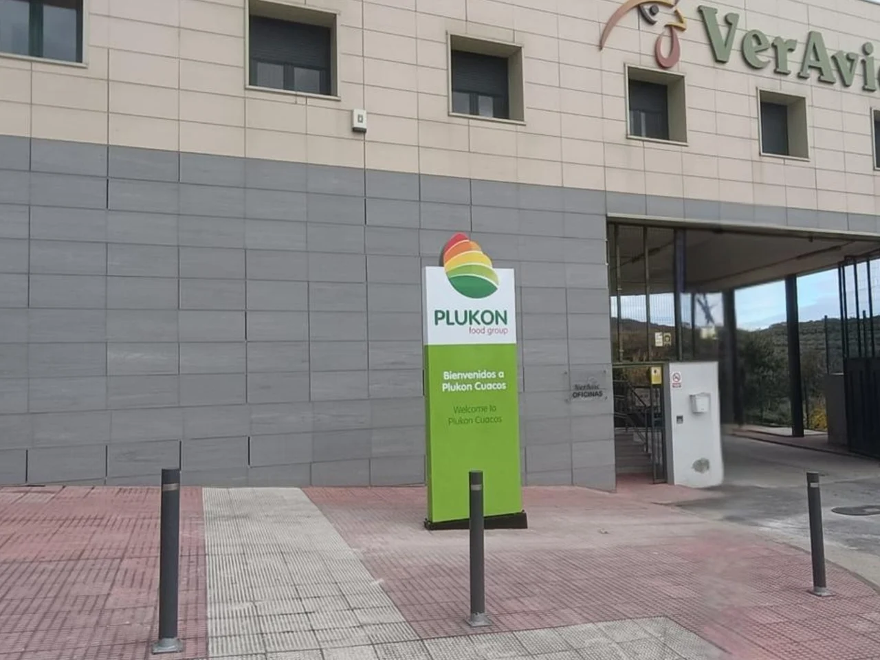 Plukon · Tótems, del taller al acceso · Vista principal